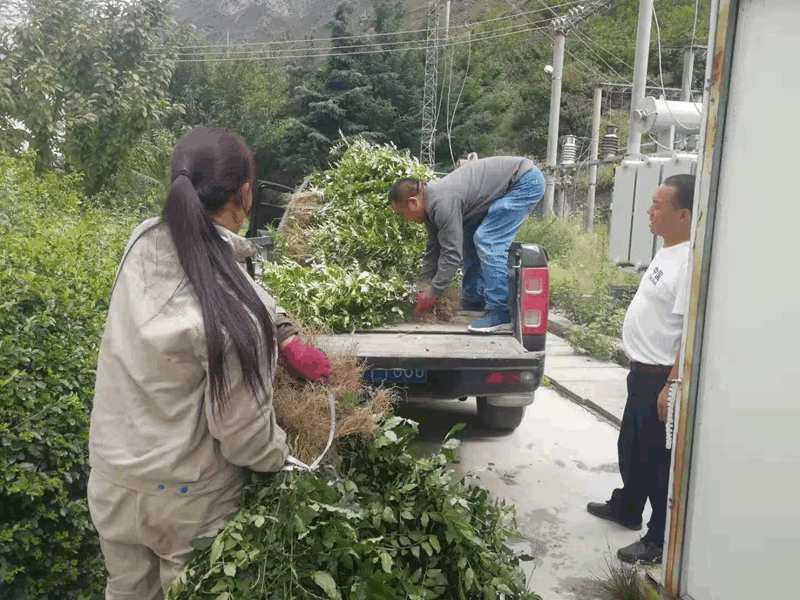 圖片2_副本 圖片2_副本