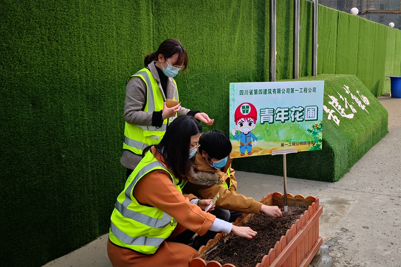 第一工程公司團總支開展“共克時艱 心向花開”種植比賽_副本 第一工程公司團總支開展“共克時艱 心向花開”種植比賽_副本