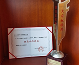 2021年中糧地產(chǎn)優(yōu)秀合作供方；2014年四川建筑職業(yè)技術(shù)學院成都校區(qū)遷建項目天府杯銀獎
